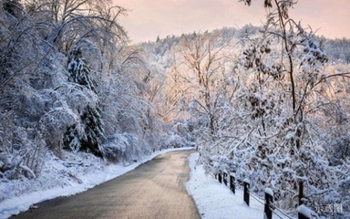 緊急通知 又一網(wǎng)紅打卡地橫空出世！入境旅游新熱點——會下雪的圣誕派對